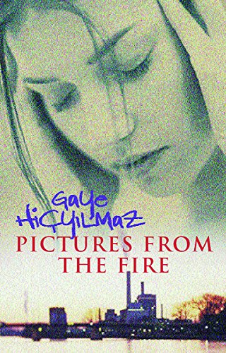 Stock image for Pictures from the Fire for sale by Goldstone Books