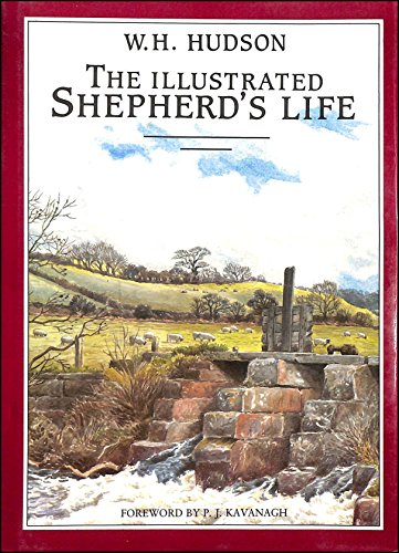 Stock image for The Illustrated Shepherd's Life for sale by WorldofBooks