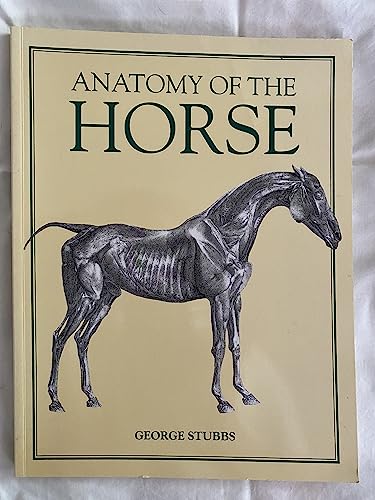 Beispielbild fr Anatomy of the Horse zum Verkauf von WorldofBooks