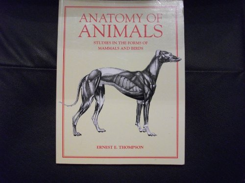 Beispielbild fr Anatomy of Animals: Studies in the Forms of Mammals and Birds zum Verkauf von WorldofBooks