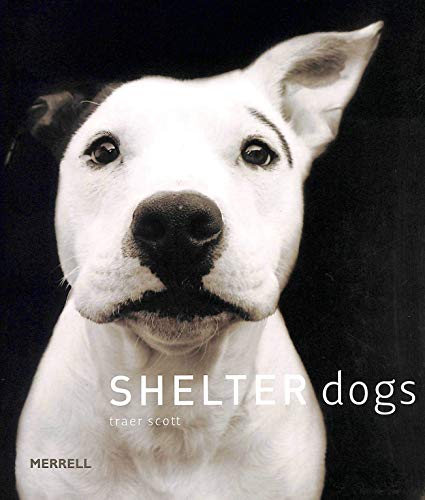 Beispielbild fr Shelter Dogs zum Verkauf von Gulf Coast Books