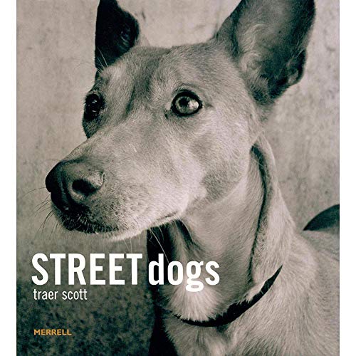 Beispielbild fr Street Dogs zum Verkauf von AwesomeBooks