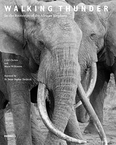 Stock image for Walking Thunder: In the Footsteps of the African Elephant for sale by WorldofBooks