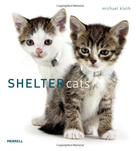 Imagen de archivo de Shelter Cats a la venta por Better World Books: West