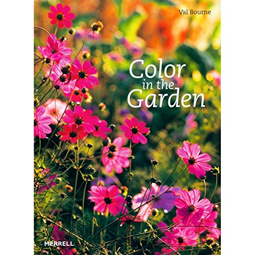 Stock image for Colour in the Garden for sale by WorldofBooks
