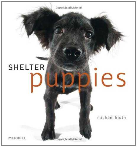 Imagen de archivo de Shelter Puppies a la venta por Better World Books