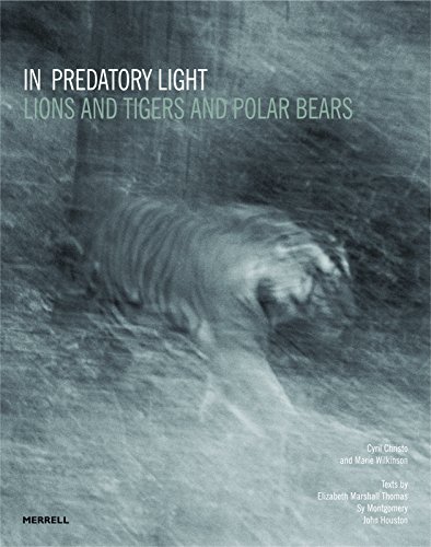 Stock image for In Predatory Light: Lions and Tigers and Polar Bears for sale by Black Cat Books