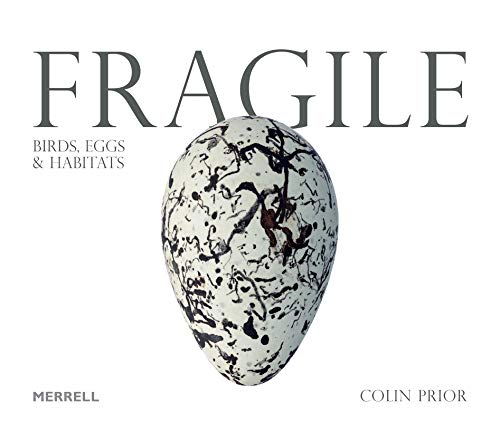 Beispielbild fr Fragile: Birds, Eggs & Habitats zum Verkauf von Monster Bookshop