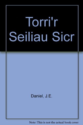 Stock image for Torri'r Seiliau Sicr for sale by siop lyfrau'r hen bost