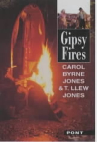 Stock image for Gipsy Fires for sale by WorldofBooks