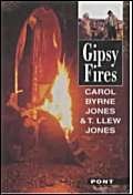 Stock image for Gipsy Fires for sale by WorldofBooks