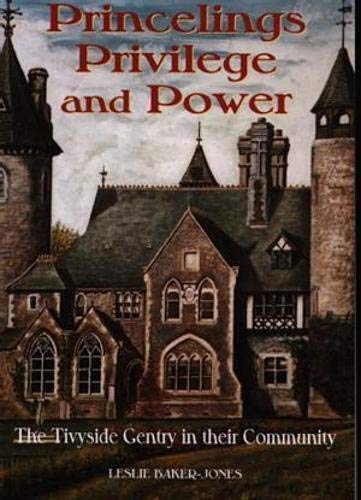 Beispielbild fr 'Princelings, Privilege and Power' - The Tivyside Gentry in Their Community zum Verkauf von WorldofBooks