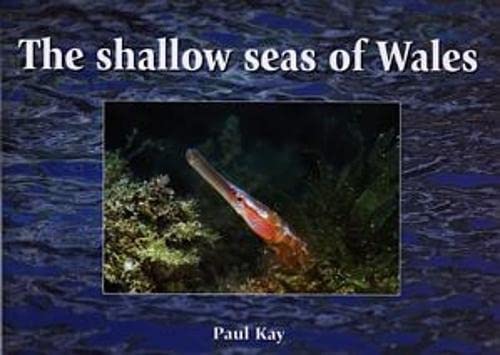 Stock image for The Shallow Seas of Wales for sale by Goldstone Books