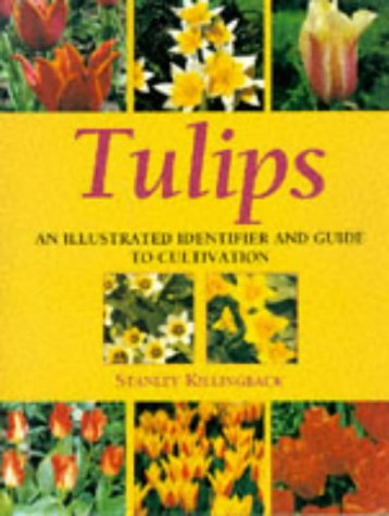 9781859260852: Tulips