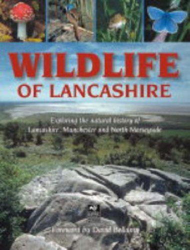 Stock image for Wildlife of Lancashire Exploring the Natural History of Lancashire,Manchester and North Merseyside for sale by Richard Thornton Books PBFA