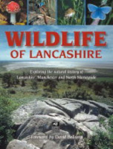 Stock image for Wildlife of Lancashire : Exploring the Natural History of Lancashire, Manchester and North Merseyside for sale by Better World Books Ltd