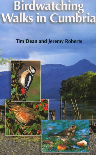 Stock image for Birdwatching Walks in Cumbria for sale by WorldofBooks