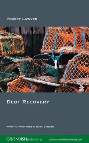 Stock image for Debt Recovery: Pocket Lawyer for sale by Revaluation Books