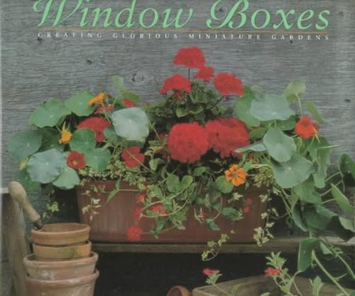 9781859673393: 50 Spectacular Window Boxes (Step-by-Step)