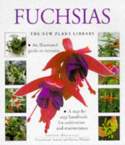 Imagen de archivo de Fuchsias (The New Plant Library) a la venta por SecondSale