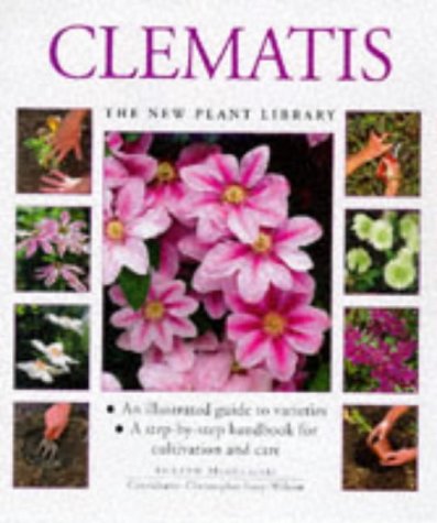 Stock image for Clematis (New Plant Library) for sale by AwesomeBooks