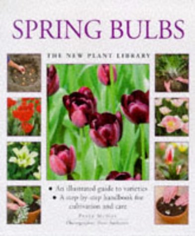 Beispielbild fr Spring Bulbs: A Step-by-step Handbook for Cultivation and Care (New Plant Library) zum Verkauf von WorldofBooks