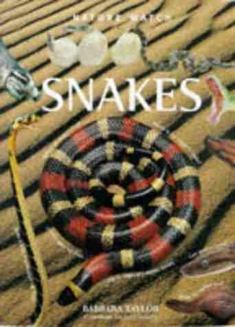 9781859676097: Snakes (Nature Watch S.)