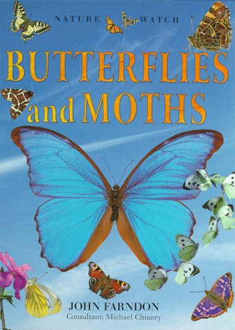 Beispielbild fr Butterflies and Moths zum Verkauf von Better World Books