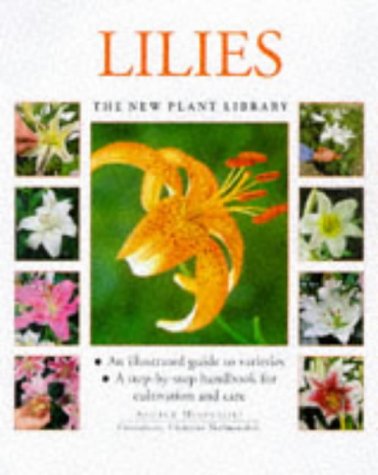 Imagen de archivo de Lilies (New Plant Library) a la venta por Wonder Book