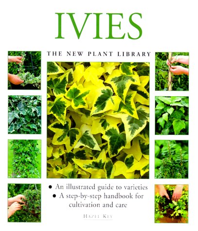 Beispielbild fr Ivies: A Step-by-step Handbook for Cultivation and Care (New Plant Library) zum Verkauf von WorldofBooks