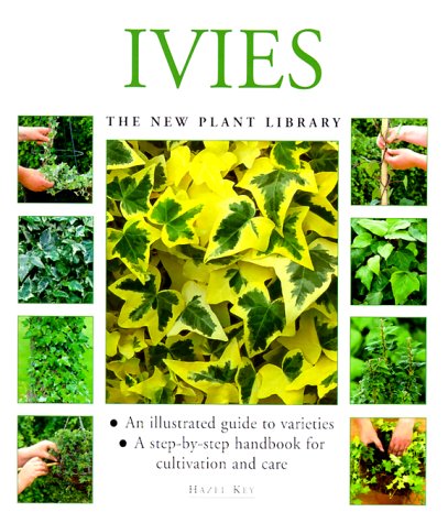 9781859679029: Ivies (The New Plant Library)