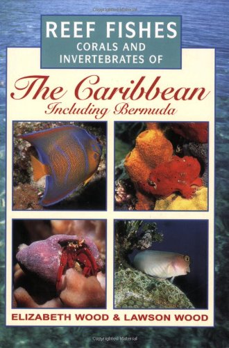 Beispielbild fr Photographic Guide to Reef Fishes, Corals and Invertebrates of the Caribbean Including Bermuda (Photographic Guides) zum Verkauf von WorldofBooks