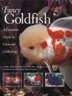 9781859749579: Fancy Goldfish: A Complete Guide to Care and Caring
