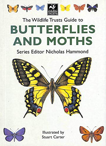 Stock image for The Wildlife Trusts Guide to Butterflies and Moths (The Wildlife Trusts series) for sale by WorldofBooks