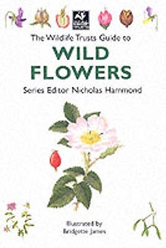 The Wildlife Trusts Guide to Wild Flowers (The Wildlife Trusts series) - Bridgette James