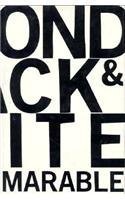 Imagen de archivo de Beyond Black and White: Rethinking Race in American Politics and Society a la venta por Books of the Smoky Mountains