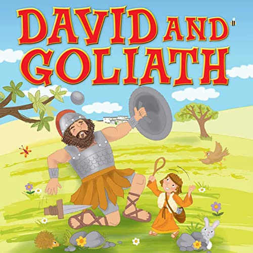 Stock image for David Sticker Book for sale by ThriftBooks-Atlanta