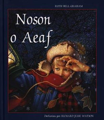 9781859941058: Noson O Aeaf (Welsh Edition)