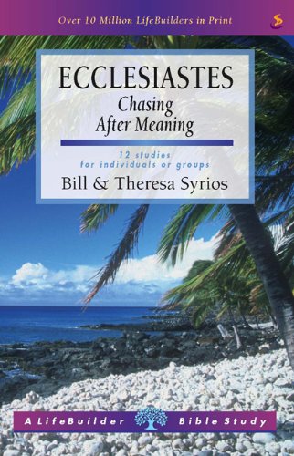 Stock image for Ecclesiastes: Chasing After Meaning (Lifebuilder) for sale by MusicMagpie