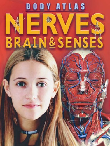 Stock image for Brains, Nerves and Senses - Body Atlas for sale by Better World Books Ltd