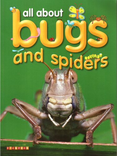 Stock image for Bugs and Spiders (My First Book Of.) for sale by Wonder Book