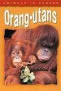 Beispielbild fr Animals in Danger: Orang-utans zum Verkauf von Bestsellersuk