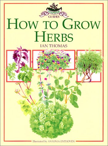 Beispielbild fr Growing with Herbs (Culpeper Herbal Guides) zum Verkauf von Reuseabook