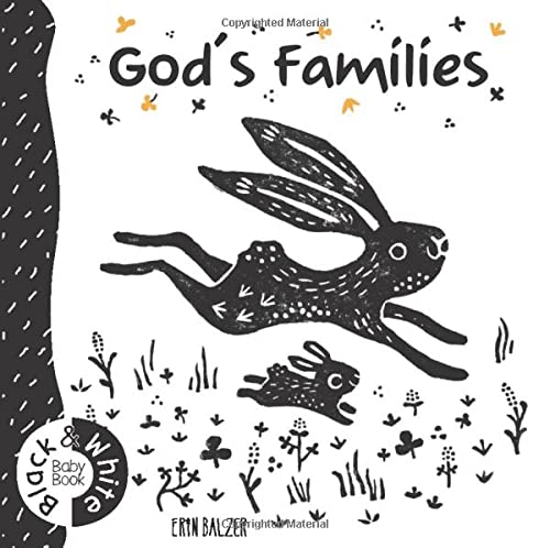 Stock image for God's Families: Black and White Baby Book for sale by WorldofBooks