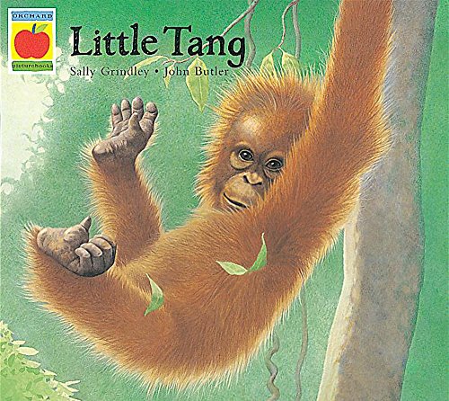 Little Tang (9781860397080) by Grindley, Sally; Butler, John