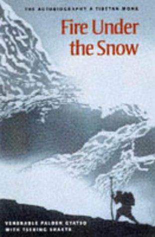 Stock image for Fire under the Snow for sale by The Glass Key