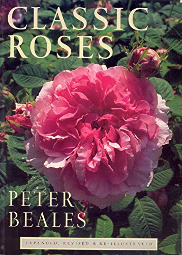 Imagen de archivo de Classic Roses a la venta por WorldofBooks