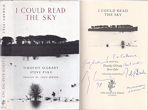 Imagen de archivo de I Could Read the Sky: A Novel a la venta por HPB-Emerald