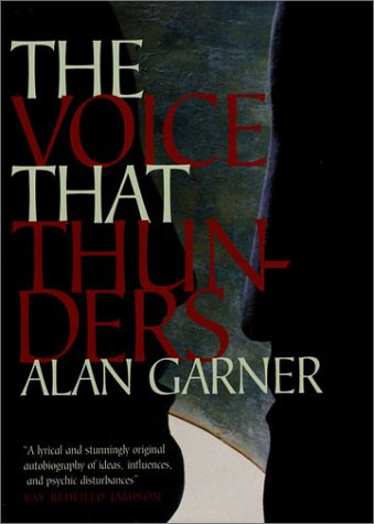 9781860464683: The Voice That Thunders: Essays and Lectures