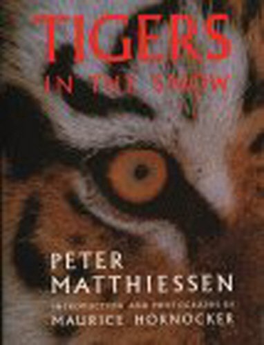 Beispielbild fr Tigers in the Snow zum Verkauf von WorldofBooks